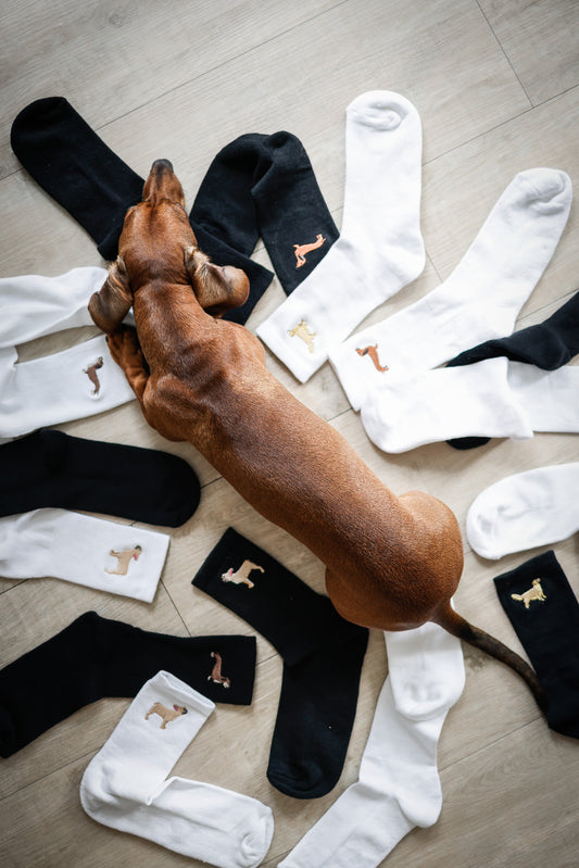 Conrad & friends - Gift Card