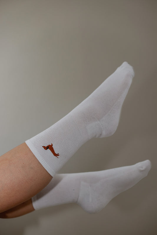 Conrad - the dachshund (classic)