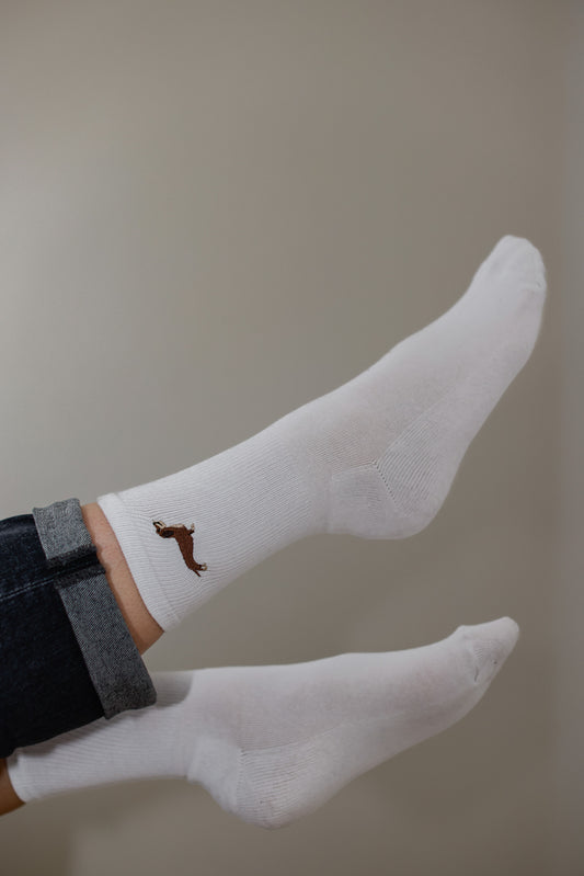 Cornelia - the dachshund (wire-haired)